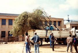 1995 GC Tree planting 001 Item 017