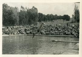 1958 HA 072d Swimming pool diving