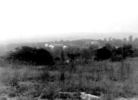 1964 Campus view from koppie area c.1964 NIS