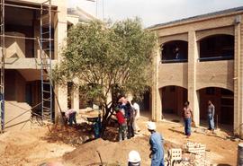 1995 GC Tree planting 005