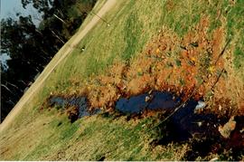 1997 GC Landscapes Stream in Spring 033