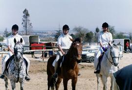 1998 GC Sports Equestrian 008