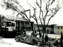 1995 GC Planting of trees at circle 002