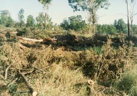 1995 GC Landscapes Site clearing 037