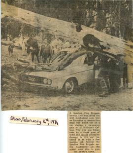 1974 BC NC [untitled] Tree falls on car. The Star 16th February 1974