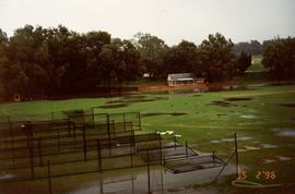 1996 Campus Floods 006