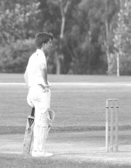 1991 BC Cricket TBI ST p088