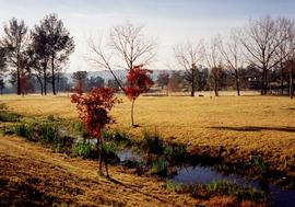 1997 GC Landscapes Stream in autumn 017