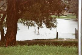 1996 Campus Floods 046