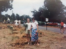 1989 BP Tree planting 01