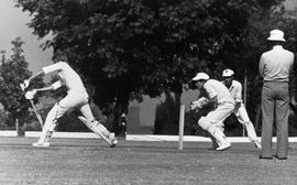 1982 BC Cricket match scenes 005
