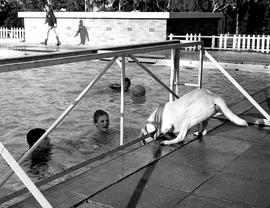 1976 BC Swimming Inter-house Gala 012