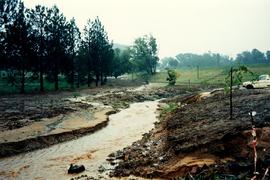 1996 Campus Floods 026