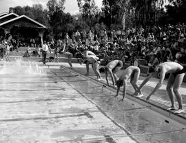 1976 BC Swimming Inter-house Gala 021