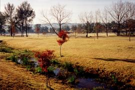 1998 GC Landscapes Stream in autumn 027